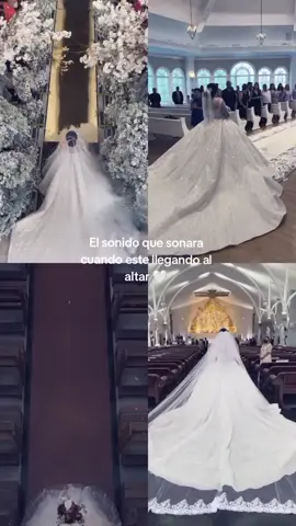 🤍#bodas #paratii #boda #altar #vestidodenovia #sanlucas #kevinkaarl #vestido 