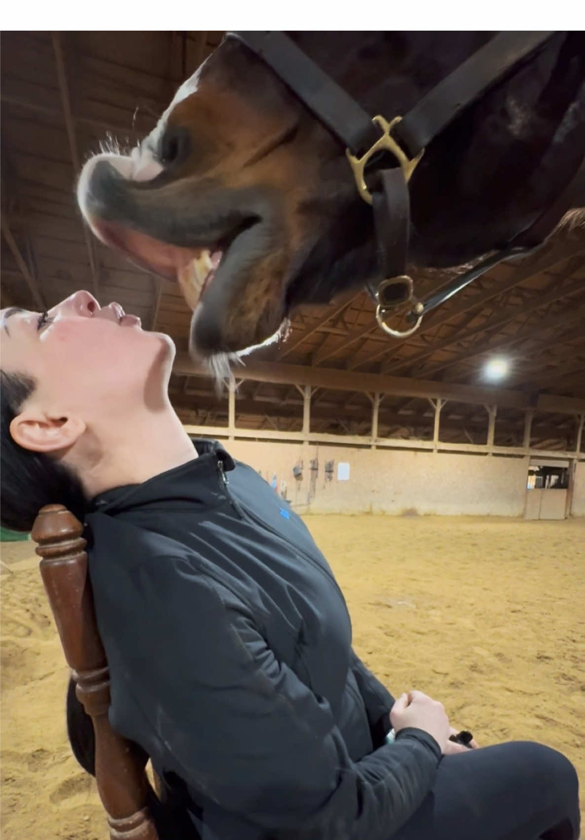 I taught Primpi how to give “kisses” and sometimes he gets a little overzealous with his affection but I don’t mind too much 😅😂 #fyp #foryoupage #funnyvideo #horse #equestrian 