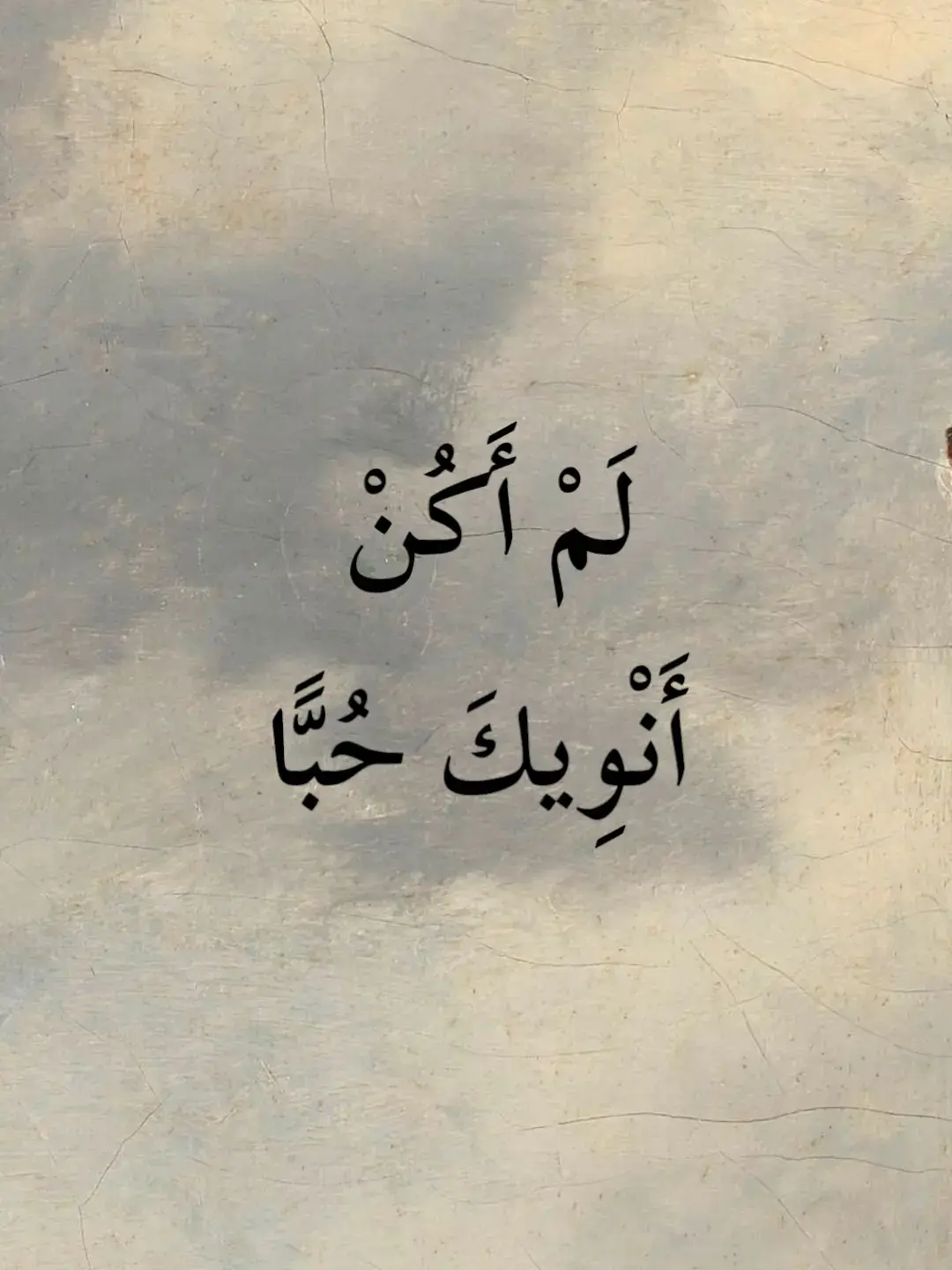 لَمْ أَكُنْ أَنْوِيكَ حُبًّا  #ناصربدوي  #ادبيات  #شعروقصايد #اكسبلور  #فصحى  #تصميمي #ستوريات  #تصميم_فيديوهات🎶🎤 