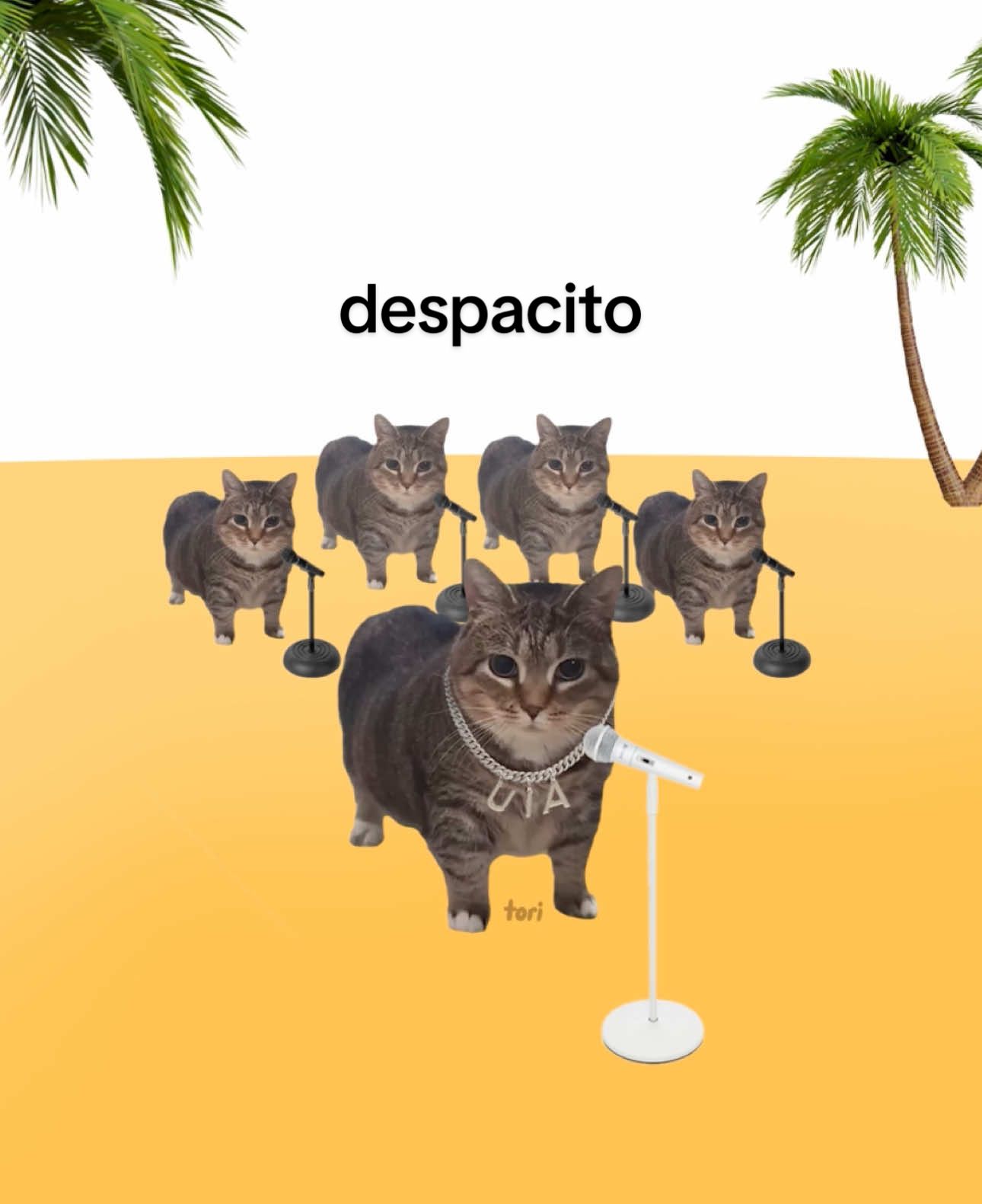 Despa i u 🗣️🗣️ #cats #despacito #lyrics #brainrot #fyp #parati 