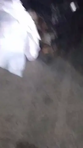 This poor baby was dumped like trash, literally.  A resident at the apartment complex witnessed another resident place him next to the dumpster last night along with trash.  The worst part is that he’s in a kennel so he couldn’t go looking for help.  He’s in pretty awful shape and is at the ER now. Here we go again picking up the pieces for this innocent boy.  Can you help us?  We named him Percy 🙏🏼. Fundraising for Percy: Puppy Dumped Like Trash and our is $5000 ❤️ DONATION LINK 🔗 IN BIO 🚨🚨 #adoptme #shelterdog #puppylove #savedog #veterinarian #unitedkingdom #australia #animalsoftiktok #puppies 