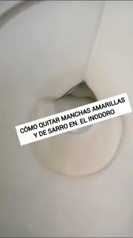 CÓMO QUITAR MANCHAS AMARILLAS Y DE SARRO EN EL INODORO  Necesitas ✔️Vinagre blanco  ✔️Bicarbonato de sodio ✔️Lija fina 👉Más tips para limpiar el baño en la REVISTA TRANSFORMA TU BAÑO disponible en el link de mi perfil #tipsdehogar #trucosdelimpieza #tipsdelimpieza #limpiatuhogar #tipsdelhogar #limpiezanatural 