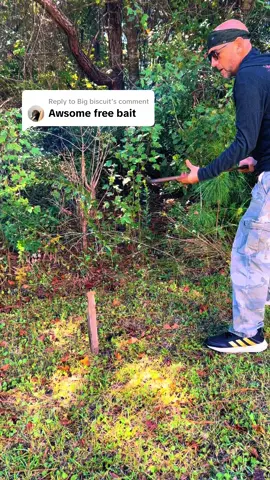 Replying to @Big biscuit yea buddy #free #bait #fishingtip #tips #hack #DIY #fyp #fishing #grubtingworms #worms #Outdoors #country #florida #fishing #tools #ironandstob #wood #iron #skill #works #dirtyjobs #vibration #fypシ #fypシ゚viral #florida 
