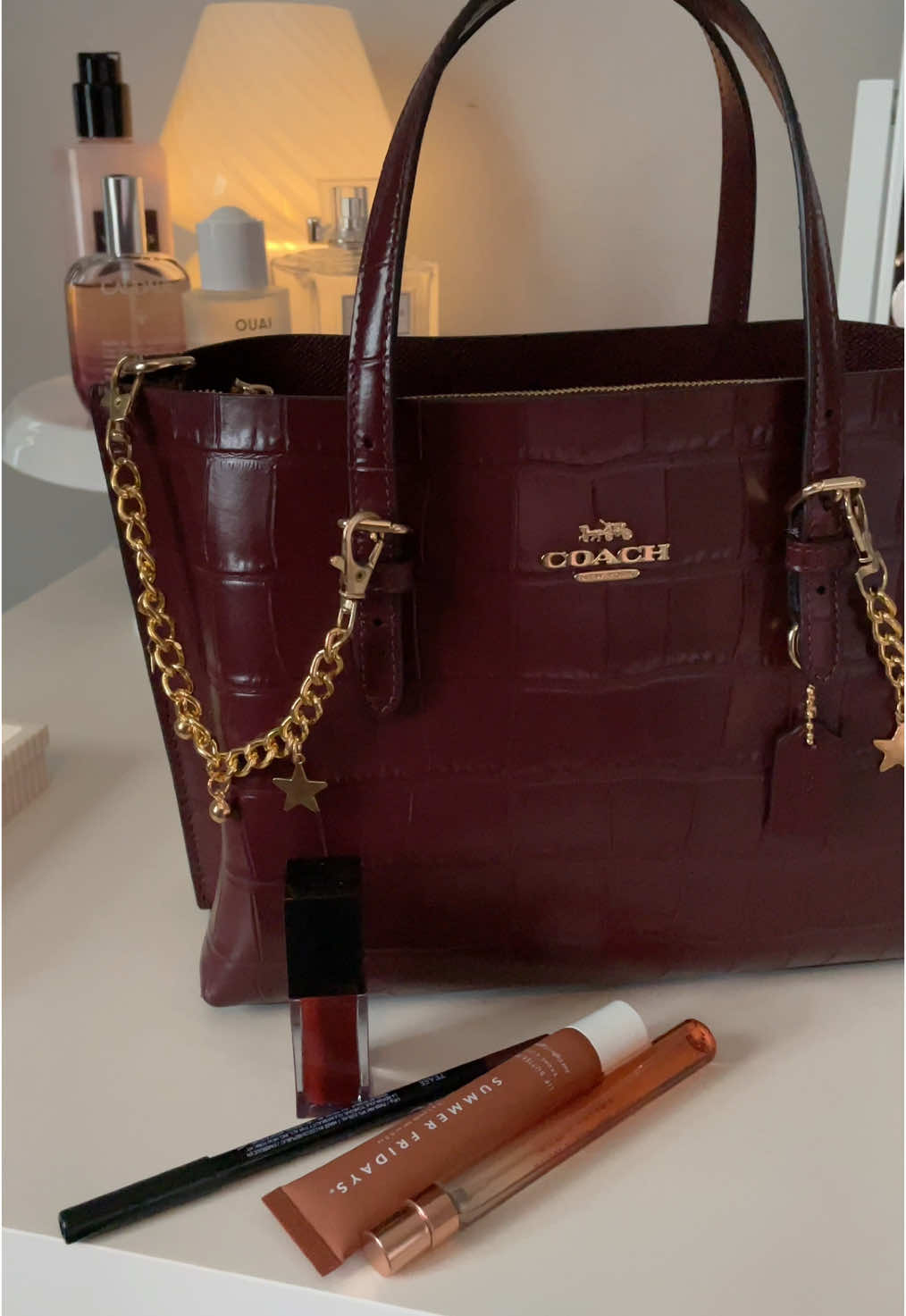 The mollie tote bag 🍷🥀♥️ #coach #coachbag 