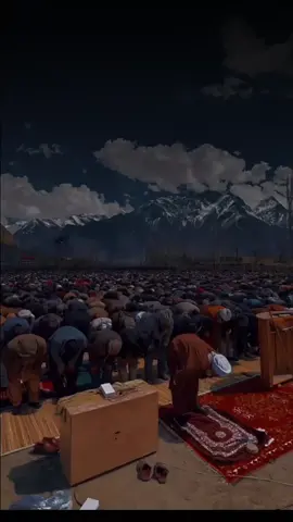 Qs Asy Syu'ara ayat 217 sampai 220 TAWAKKAL Ayat 217 mengajarkan untuk bertawakkal kepada Allah, yaitu bersandar dan pasrahkan semua urusan kepada-Nya. Tawakkal berarti percaya kepada Allah, bersangka baik bahwa permintaan akan dipenuhi, dan meminta pertolongan-Nya.  ALLOH MAHA MENDENGAR dan MAHA MENGETAHUI  Ayat 220 menjelaskan bahwa Allah Maha Mendengar dan Maha Mengetahui segala yang dilakukan, dikatakan, dan dikeluhkan. Semua yang terjadi akan diperhitungkan oleh Allah.  #murattal  #tilawatilquran  #ngajimerdu  #taubatyukk  #تلاوةالقران  #ngajibareng 