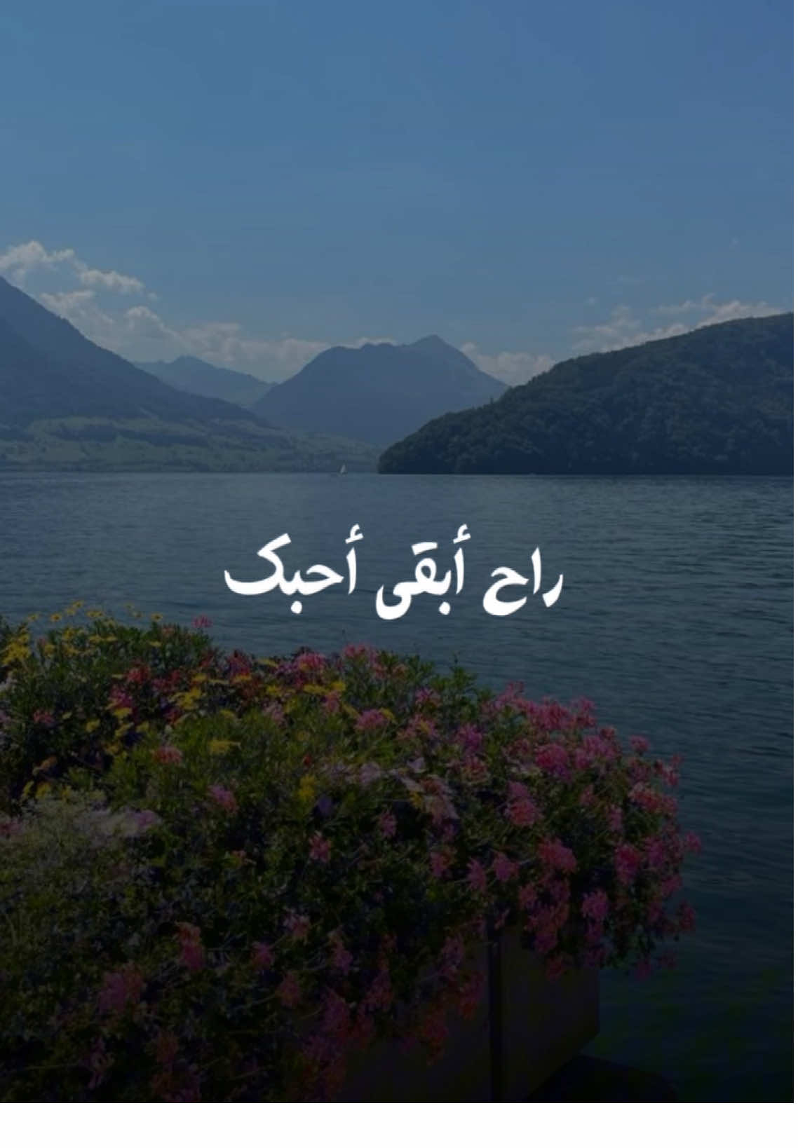 #CapCut #بغداد_العراق #اسطنبول #تركيا #تركيا🇹🇷اسطنبول #بغداد #اربيل #تصويري #تصوير #تصميمي #viral #fyp #fypシ #tik #فديوهات #تصميم_فيديوهات🎶🎤🎬 #اكسبلور #يلوا #يلوا_تركيا #يلوا🌹 #يالوفا #يالوفا❤️🇮🇶🇹🇷 #yalova #yalova77 #مالي_خلق_احط_هاشتاقات #مالي_خلق_احط_هاشتاقات🧢#اريدك #صعب #صعب_اتبرا_منك_وابعد_روحي_عنك #صعب_اتبرا_منك #لوي_عدنان #لؤي #لؤي_عدنان #لؤي_عدنان_أريدك 