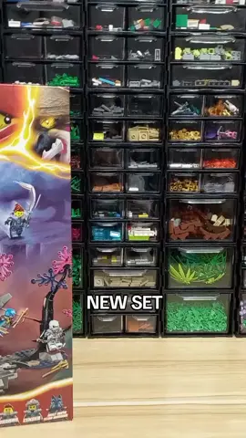 Lego Ninjago Dragons Rising 71813 Wolf Mask Shadow Dojo #dawidbrick #dlaciebie #fyp #legoninjago 