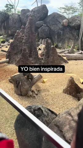 JAJAJAJA🤣🤣🫣🫣#Viral🤣🤣#viral #videoviral #paratiiiiiiiiiiiiiiiiiiiiiiiiiiiiiii 🤣🤣🤣🤣🤣🤣🤣