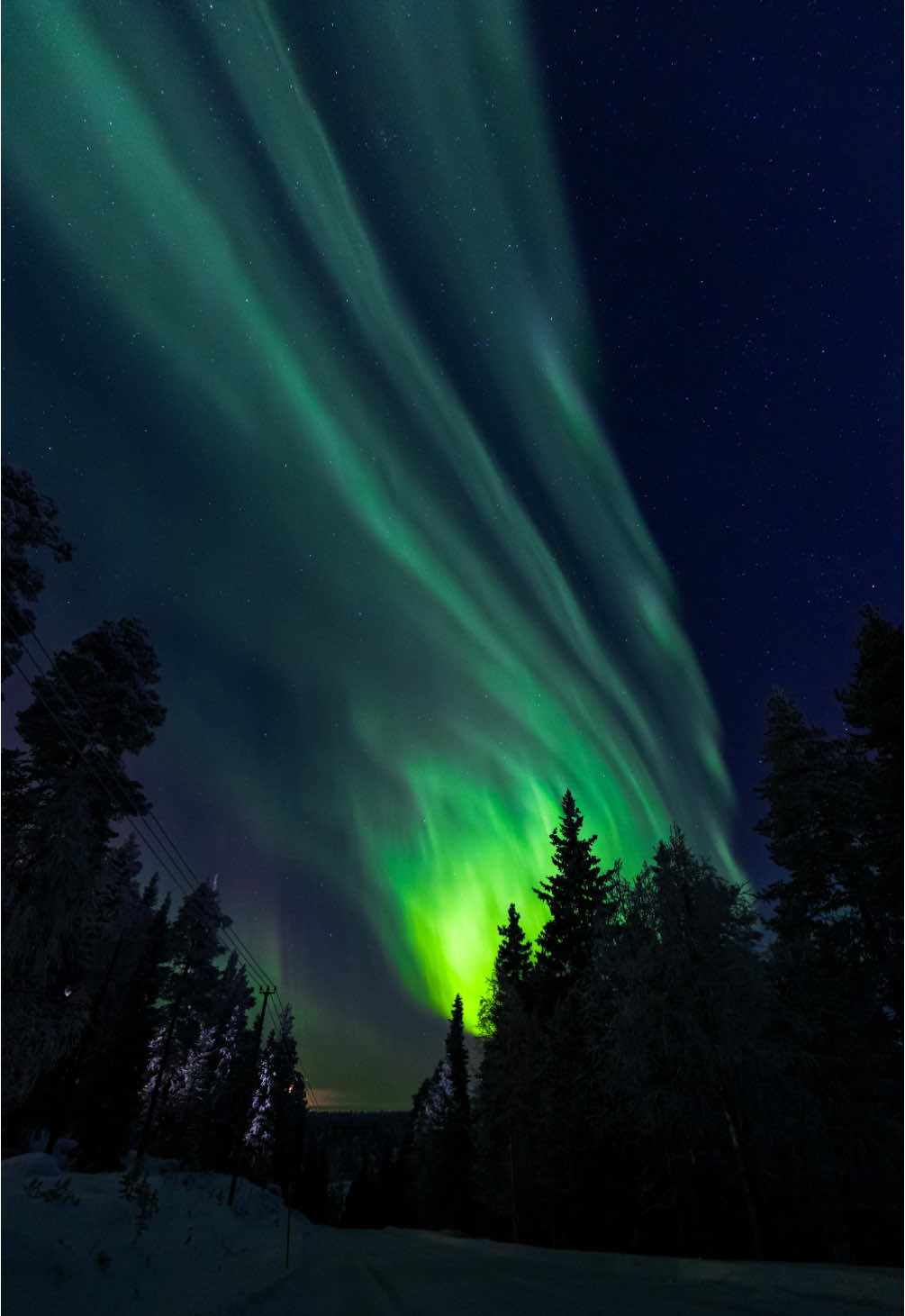 First night, and already an amazing display. We didn’t even have our rental car at this stage, but we really didn’t have to go far to find the magic. Just right on the doorstep of our Ruka Airbnb. That’s Lapland for you, it’s never far away once you’ve a clear sky.  #aurora #auroraborealis  #northernlights #auroralapland #finland #lapland #aurorawatch #canon 