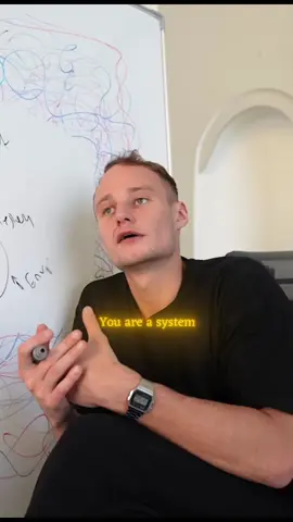 You are a system