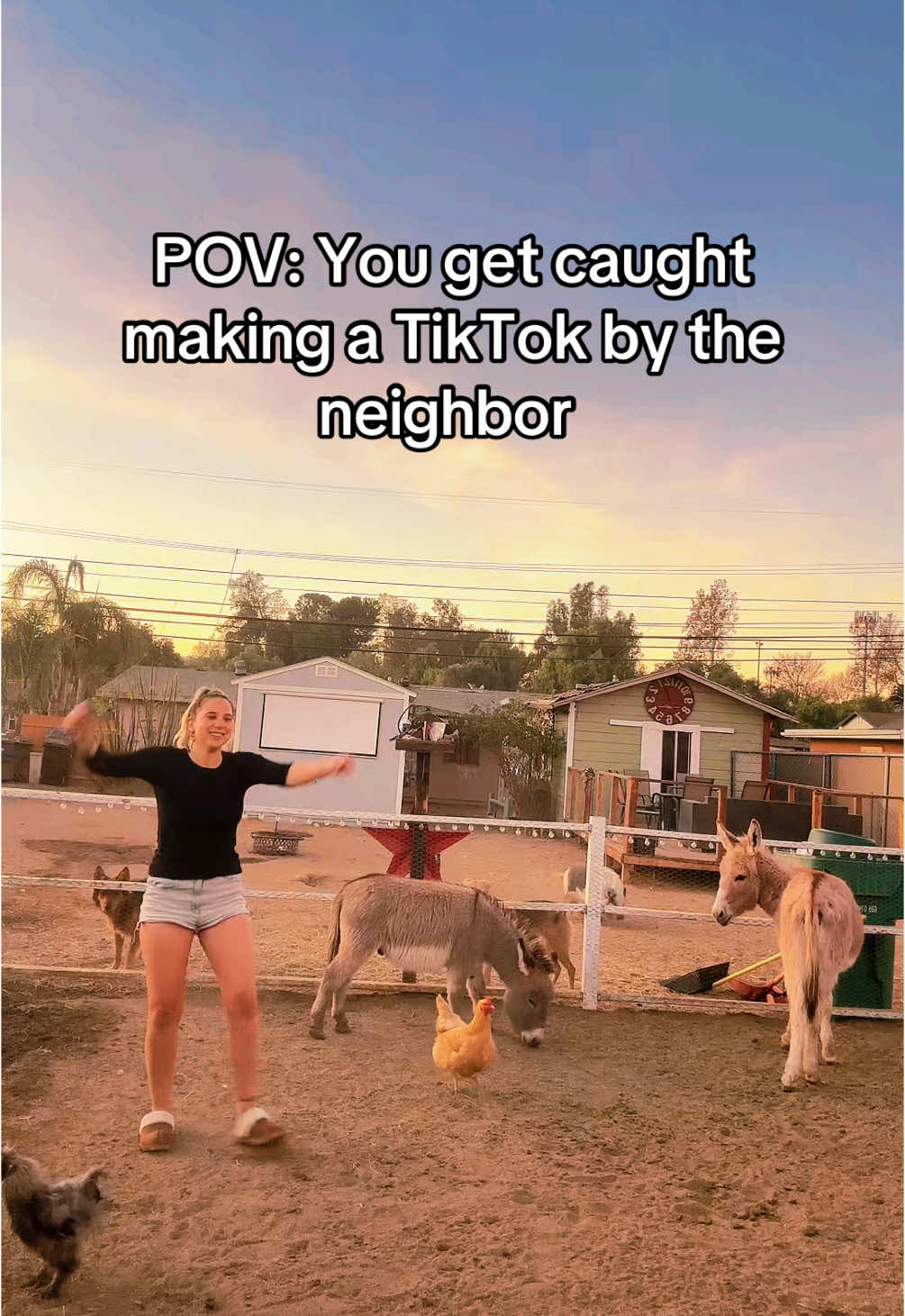 The rooster was not impressed either… #fyp #trend #trending #brunomars #brazil #xyp #country #farmlife