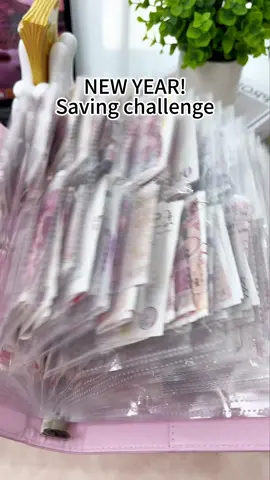 How many times can I say it evened out in the end #monevsavingtips #100envelopechaenge #savingmoney #savingschallenge #budget#budqetbinder