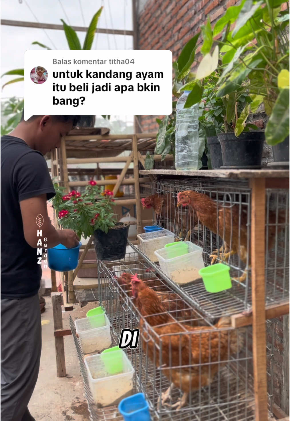 Membalas @titha04 #CerealCerdik untuk ongkirnya tergantung wilayah kalian dan ini besi ya, bukan plastik jadi sesui beratnya #berkebun #hanzgarden #fypシ #ayampetelur #fypシ゚viral #kandangayampetelur 
