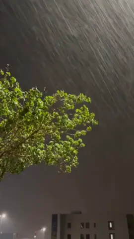 علموني كيف اجوائكم الان 🤍🤩!  #امطار_المدينه_المنوره #4u #fypシ゚viral #explore #الشعب_الصيني_ماله_حل😂😂 #الشتاء #مطر #المدينة #الاثنين #مقطع_جديد #CapCut #امطار 