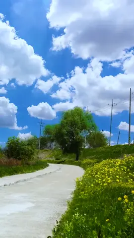 #ရှုခင်းပုံလေးတွေလှလို့ #၊🥰🥰🥰 