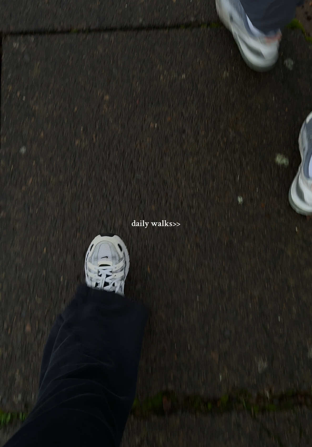 started our daily walks today and rewarded ourselves with a sugar free rebel🤩#creatorsearchinsights #dailywalks #dailywalk #walking #newyearsresolution #healthyliving #dailygoals #newgoals #walktrend #relatable #viralvideo 