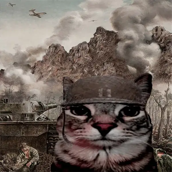 ahora si uno más sencillo, solo me demoré 2 días xd, es probable que sea el último por un tiempo. #warcat #1000yardstare #cat #soldiercat 