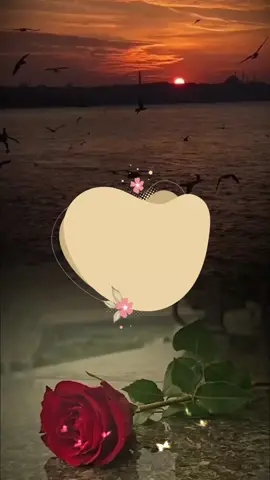 #دعاء_الصباح #صباح_الخير #اصبحنا_واصبح_الملك_لله #اللهم_صباحا_مبشرا_بكل_خير #صباحكم_معطر_بذكر_الله #foryou #foreyoupage #fup #fypシ #تصاميم_ورد🌸 