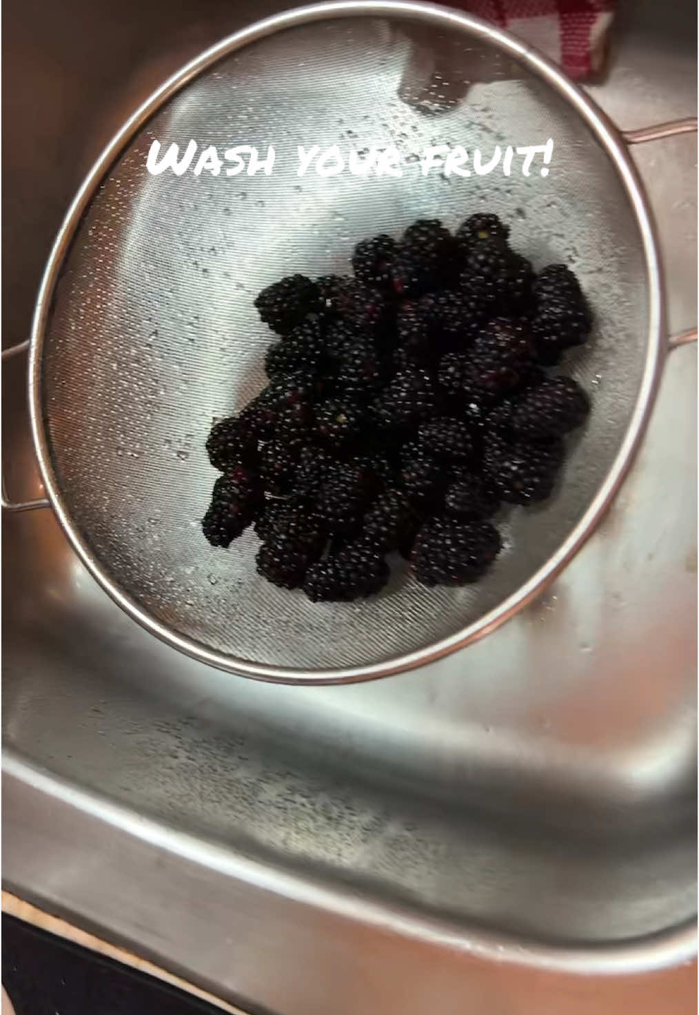 #creatorsearchinsights #washyourfruit #fruit #vinegarhacks #vinegarandbakingsoda #blackberries #fyp #fypシ #fypシ゚viral 