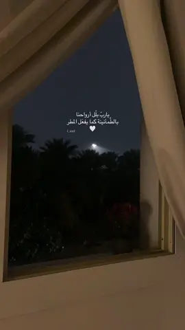 #fypシ #viral #اكسبلورexplore #مطر #الفجر 