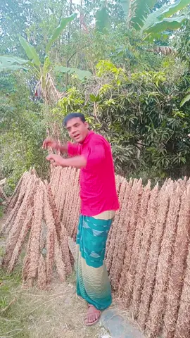 চন্দ্র তারা ঝিলিক মারে ওই নাম মাইয়ার অঙ্গে প্রেম করিতে চাইরে বন্ধু তাহার সঙ্গে #for you #foryoupage #standwithkashmir #@JIBON 180 