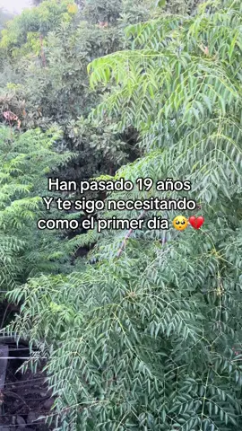 #💔 #duelo #🕊️ #papa #fyp #paratiiiiiiiii 