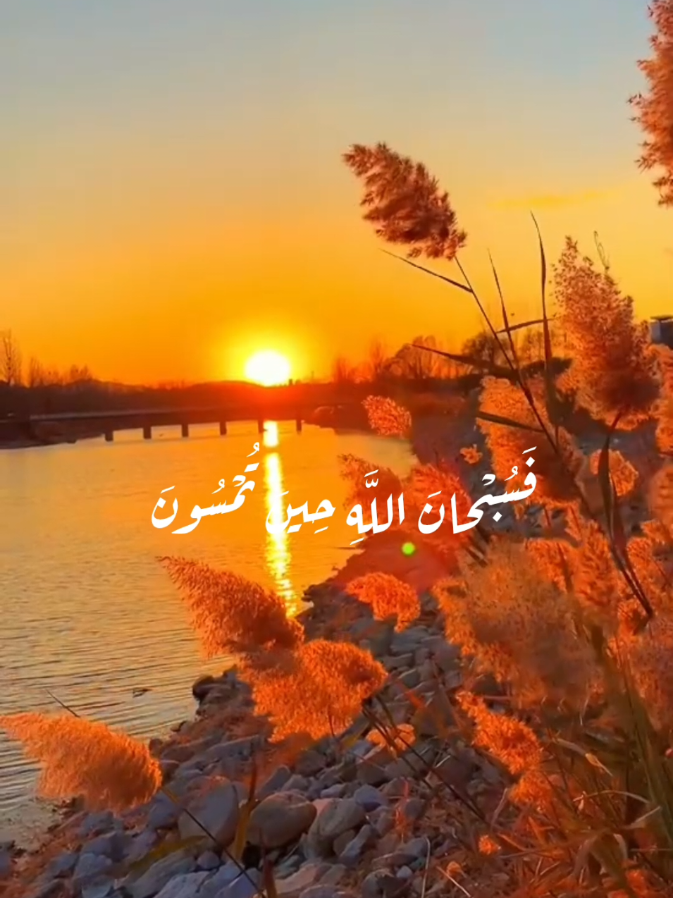 سبحانك اللهم وبحمدك أشهد أن لا إله إالا أنت أستغفرك اللهم وأتوب إليك #صباحكم_معطر_بذكر_الله  #فسبحان_الله_حين_تمسون_وحين_تصبحون  #الشيخ_عبدالباسط_عبدالصمد  #قرآن #تلاوة_خاشعة #قرآن_كريم_راحة_نفسية  #اللهم_صلي_على_نبينا_محمد 