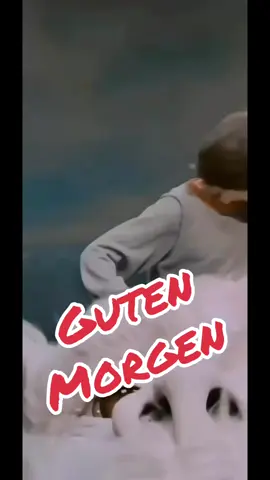 #gutenmorgen #montag #wochenstart #schmetterlingeimbauch #viral #fyp #lustigeclips #all #lustigevideos #4u #viraltiktok #freuen 
