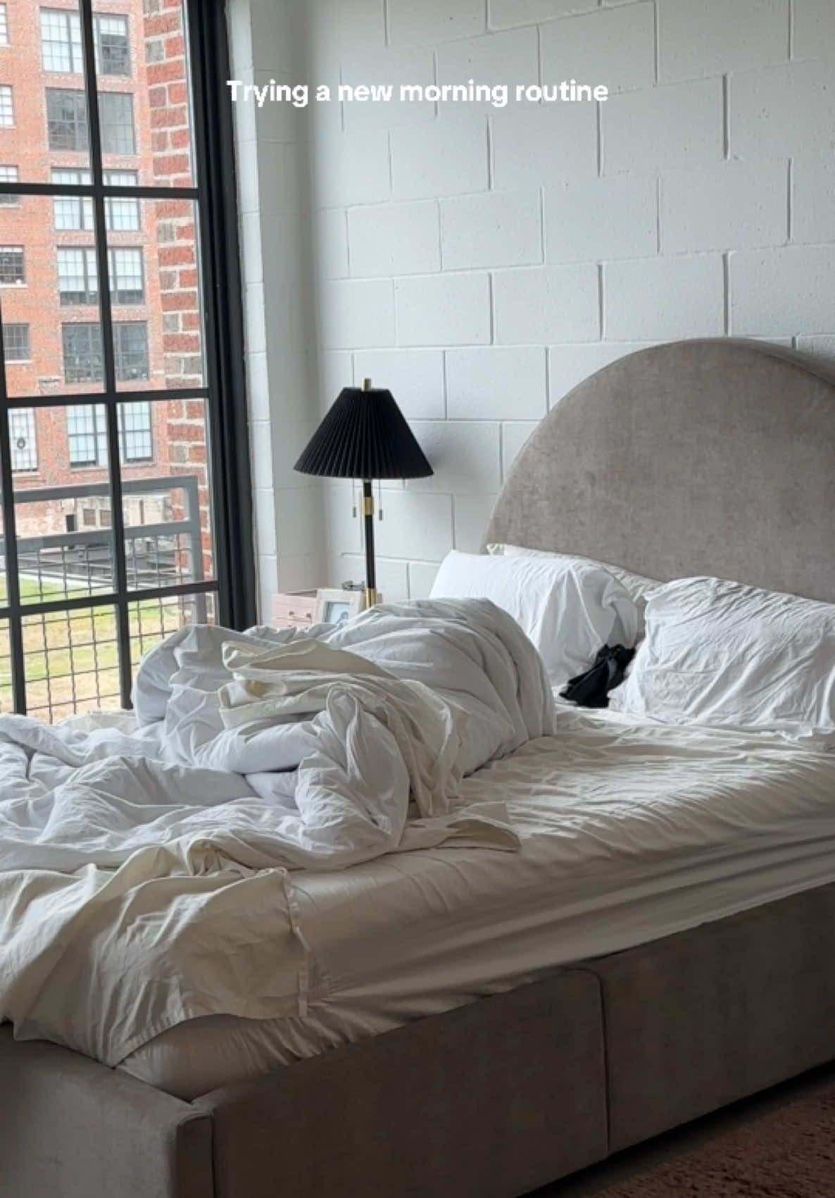 Coconut cult is delish, sea moss taste like the ocean floor 