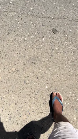 #redgacorr🔥 #kuliboy🀄 