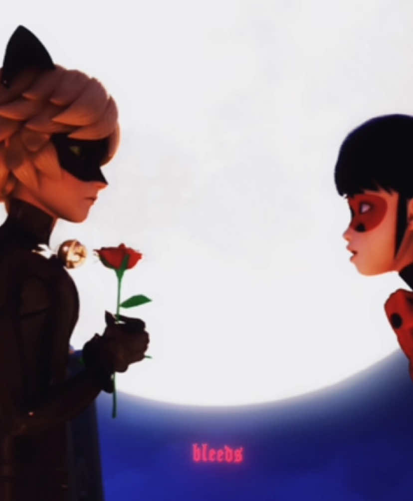 im praying somebodys attention span is long enough to watch what i just dedicated 3 days of my life to #miraculous #catnoir #chatnoir #ladybug #miraculousladybug #edit #CapCut #adrienagreste #trend #fyp #marinettedupaingcheng #marinette #capcut2025 #ladynoir #capcutholiday 