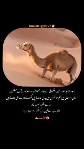 #danishtypist #viewsproblem #unfreezemyacount #growmyaccount #motivationallines #reality #sadness #agro #views #tranding #deeplines #foruyou #fyppp #vrilvideo #usa_tiktok #vrial_video #for #tik_tok 