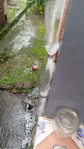 harga pralon mahal  #ffyfyp  @lukmanhakim75595 