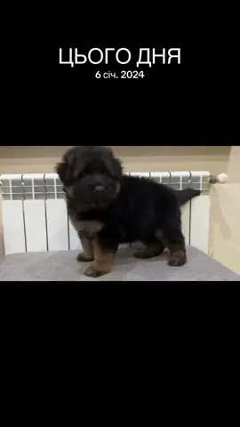 #цьогодня 
