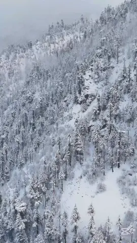 Today Kalam Valley #kalam #kalamtour #kalamtourist #Love #fpy #fypage #million #million #foryoupage 