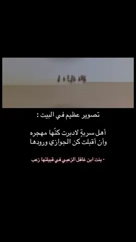 #زعب #مطير #العجمان #ال_مره #عتيبه #قحطان #الدواسر #يام #سبيع #السهول #بني_هاجر #حرب #العوازم #شمر #عنزة #الظفير #الفضول #بني_خالد #explore 