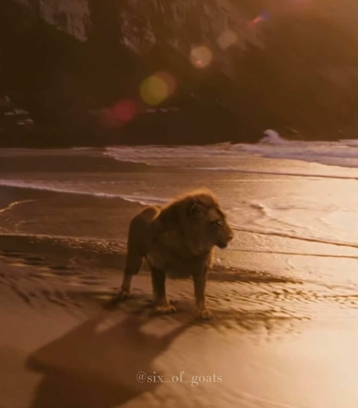 The top geezer | #aslan #narnia #chroniclesofnarnia #thelionthewitchandthewardrobe #aslanedit #liamneeson #voyageofthedawntreader #aslanscountry #cslewis #edit #lion #narniatok #narniaedit #narniatiktok #fyp 