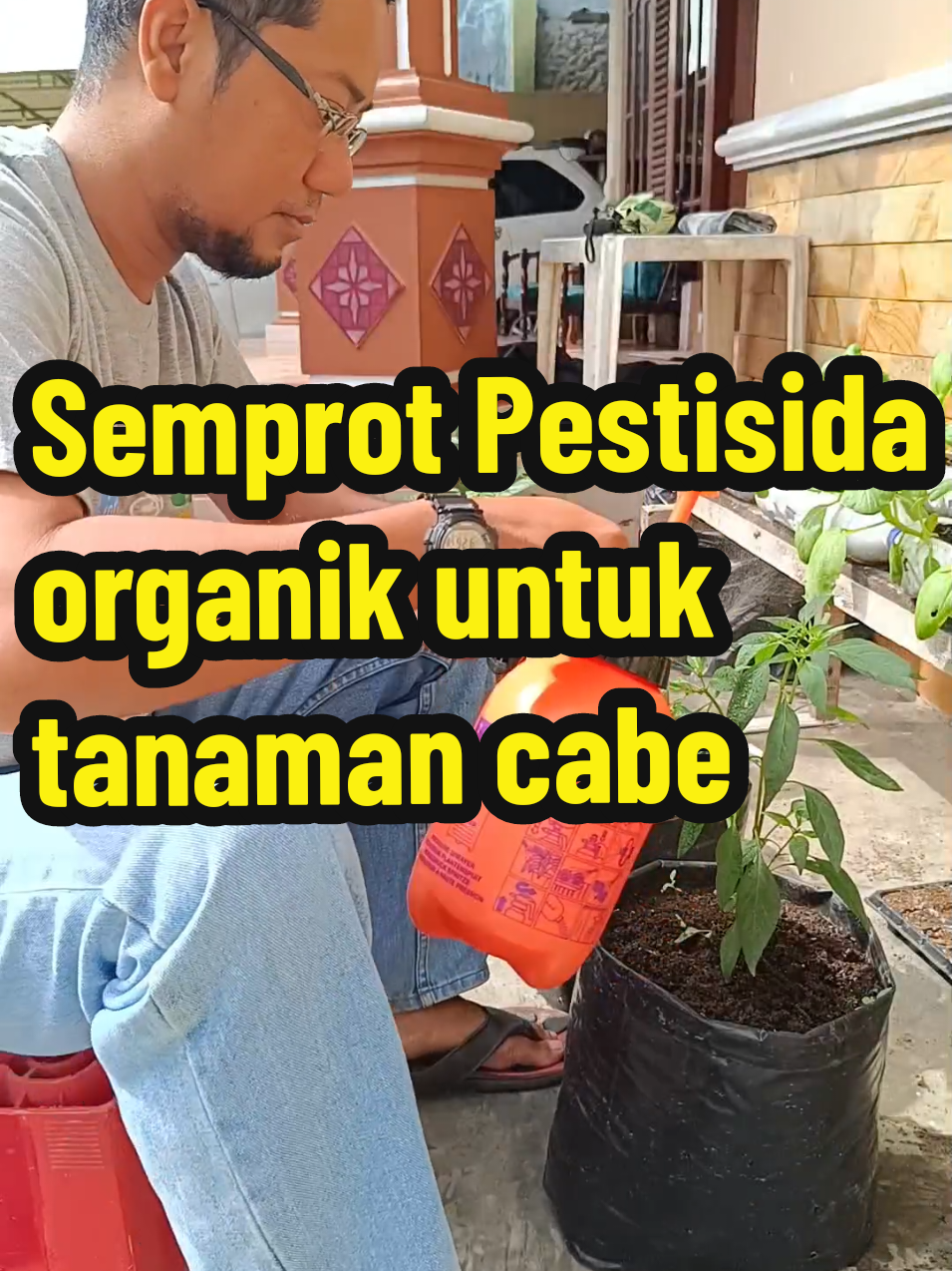 Semprot Pestisida nabati benih seribuan  #pestisida #pestisidaorganik #pestisidanabati #pestisidaalami #benihseribuan 