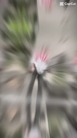 #CapCut #xuhuongggggggg 