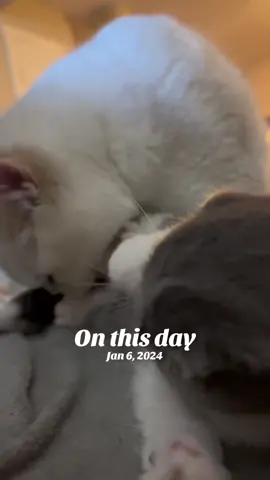 #onthisday 