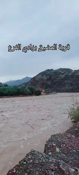 #اكسبلور #قرية #المضيق #محافظة #وادي #الفرع #اجواء_الشتاء #المدينة_المنورة♥️🌴 #امطاراليوم💭💦😍_الان #اكسبلور 