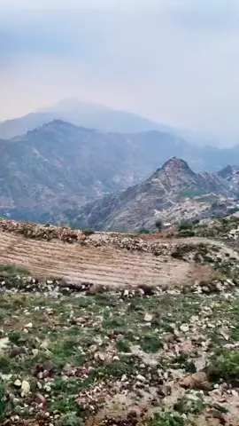 من اعالي جبال كوكب خيران المحرق #اليمن_حجه_بلادي 