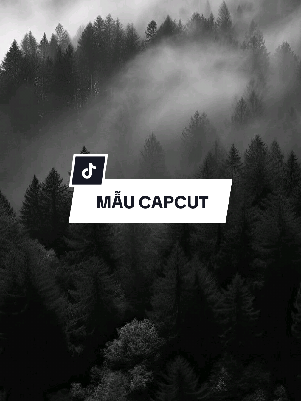 2h đêm ring ring một tin nhắn | BAO LÂU CHƯA UỐNG remix #CapCut #edit #mẫucapcut #remix #xuhuong #nhachaymoingay #hp2002✨️ 