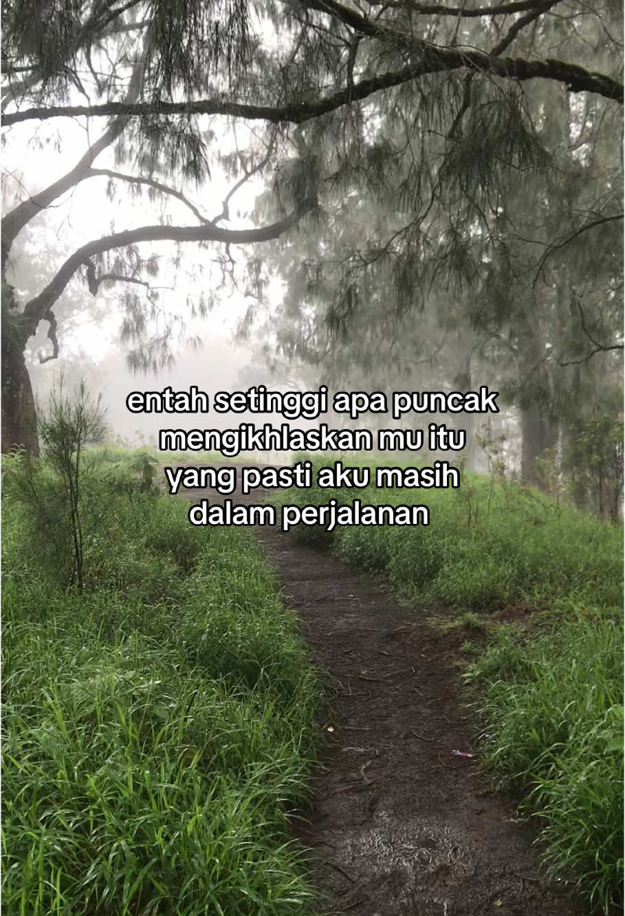 #pendakiindonesia #pendakigunung #bukitsempana2329mdpl #sembalun #fyp #foryou 