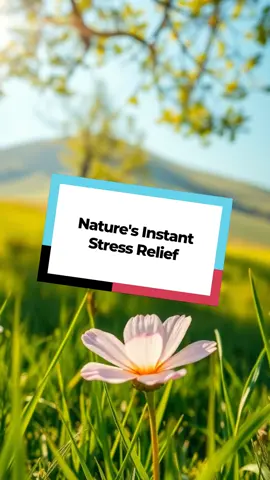 Looking at a single photo of nature can lower your stress levels as much as a 20-minute walk in the park... #NatureTherapy #StressRelief