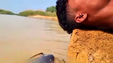 watashi wa 🐟 #jojoedit #jojosbizarreadventure #kirayoshikage #jojomemes 