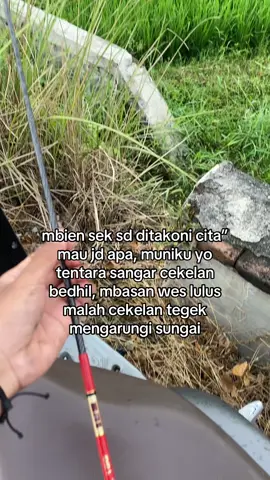 enek sg podo? #4u #storymancing #anglermadiun #mancingliar #fypmancing 