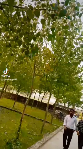 Best Entry 🚫⛔🚫  Slow Walk Video 📸 With Best Friends 😁 🥰  @😀Raja🤪Sonu🤗Ahira🖕  @Ganesh Paswan  @Omkar Giri  @support this my video please ?  #slowmotion #slowmo #entrystyle #bgm #fypシ #trending #hindi #foryoupage #trend #walk #video #tiktokviral #virlvideo 