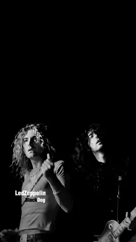 #foryourpage #ledzeppelin #blackdog #lyricshorts 