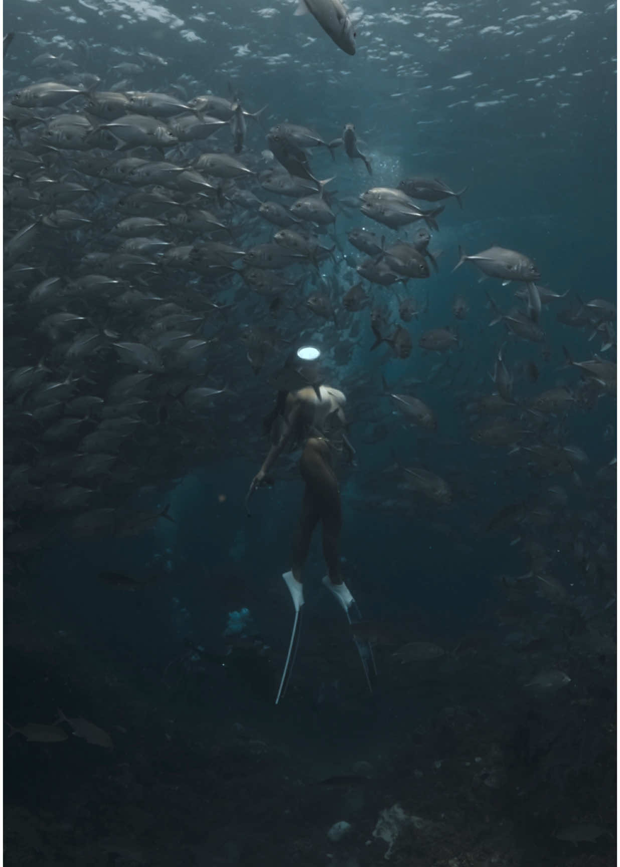 Give freediving a try this 2025! Wondering what it’s like to dive with @Tropical Dive Ph. ? Here’s what you need to know: 	•	Rates 	•	Inclusions 	•	Accommodations For more details and reservations, reach out to @tropicaldiveph or Coach @freediver_glads  #Freediving #diving #underwater #freedive #dive #mermaid #girlsthatfreedive #awra #travel#awradiving #awraposes #freediver #philippines #awratips #pose #uw #poses #swim #artisticswimming #underwaterdancing #genevalace